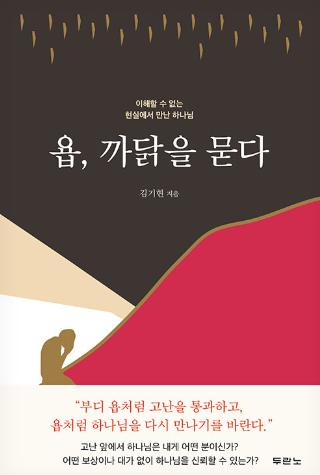 책-욥 까닭을 묻다-김기현.png