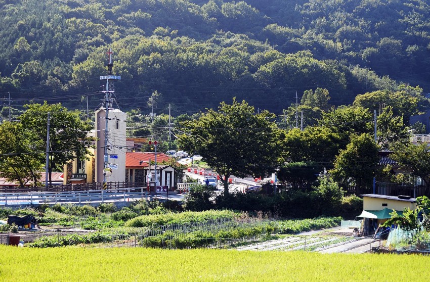 3-6-전정림.jpg
