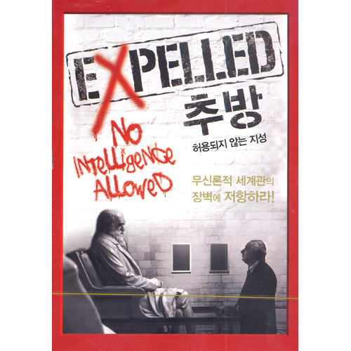 7-1-영화보다-강진구 글(이미지).jpg