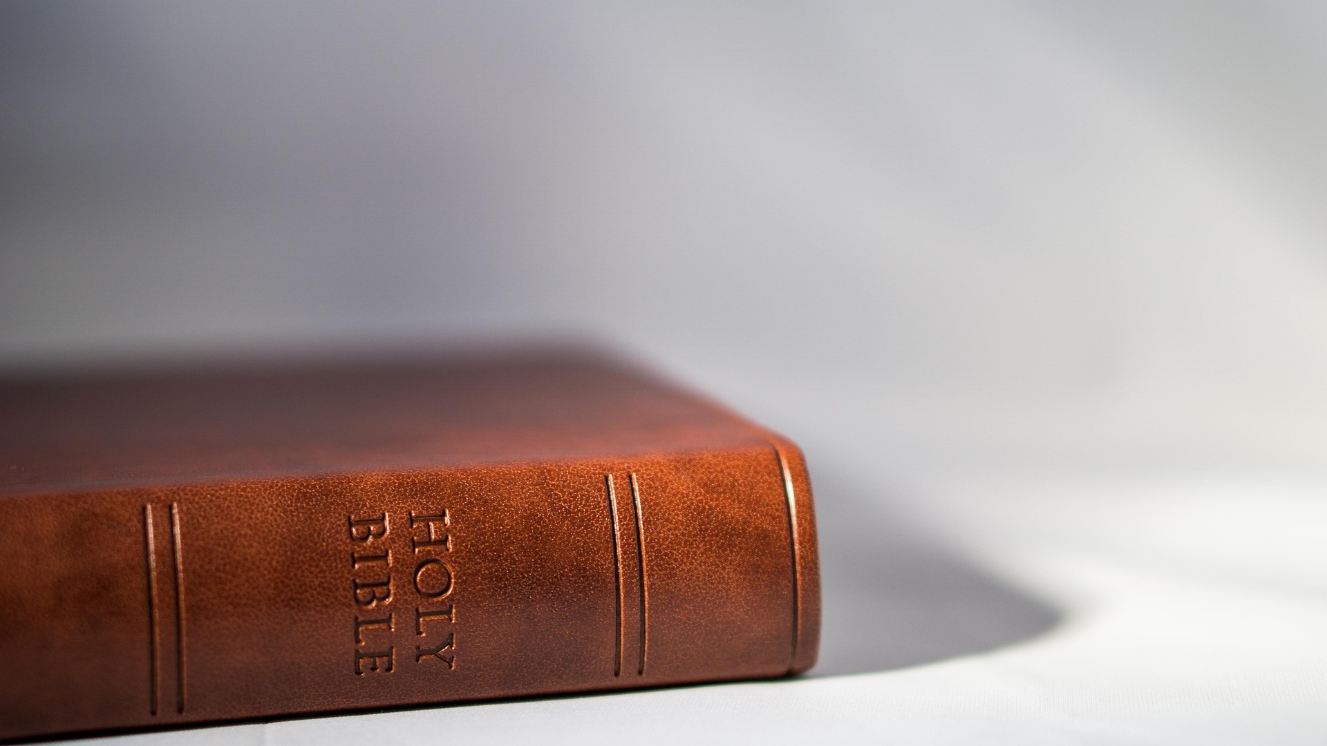 3-8-특집-김찬동-hucklebarry-bible-4249164_1920.jpg